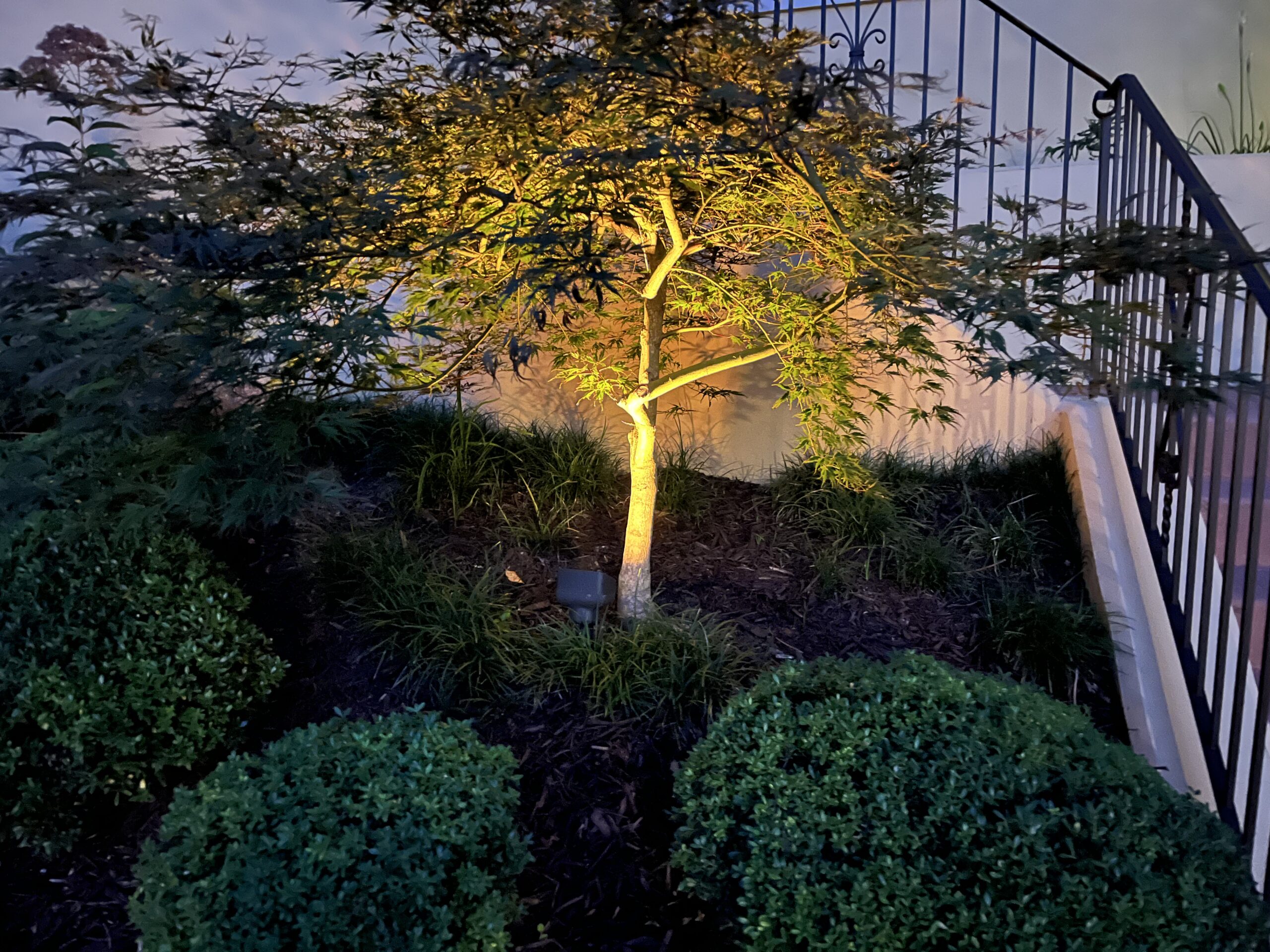 Outdoor Lighting Install Clemson SC | Tiger Town Experts with Outdoor Lighting Experts